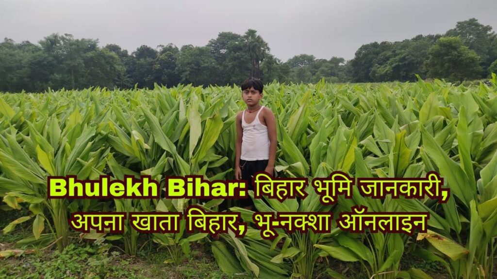 Bhulekh Bihar: बिहार भूमि जानकारी, अपना खाता बिहार, भू-नक्शा ऑनलाइन